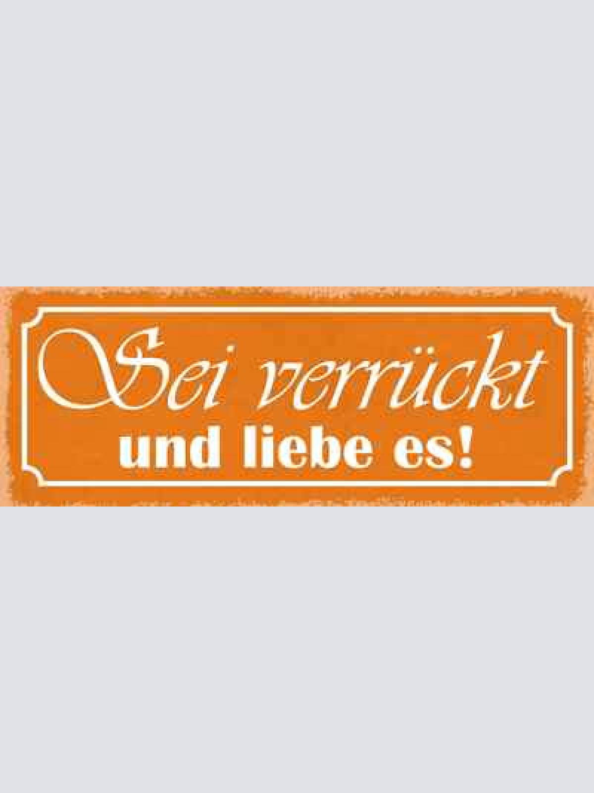Schild sei verrückt & liebe es ungewöhnlich einzigartig 27x10 blech od.holz