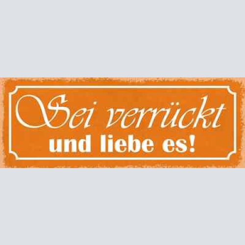 Schild sei verrückt & liebe es ungewöhnlich einzigartig 27x10 blech od.holz