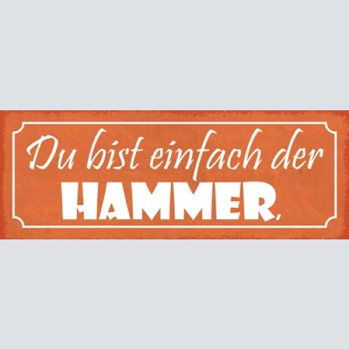Schild du bist der hammer super liebe beziehung ehe paar 27x10 blech od.holz