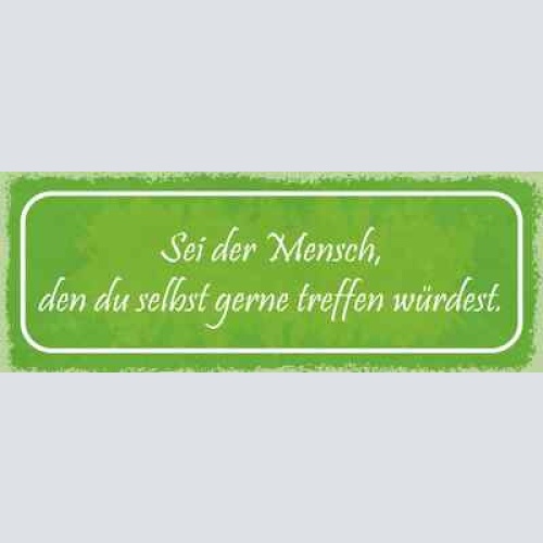 Schild sei der mensch den du selber gerne treffen möchtest 27x10 blech od.holz
