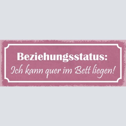 Schild beziehungsstatus ich kann quer im bett liegen liebe 27x10 blech od.holz
