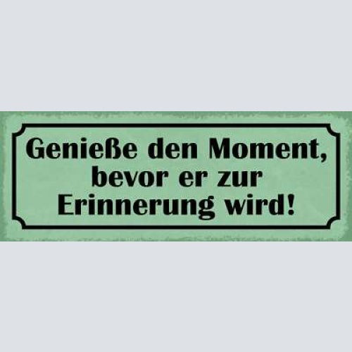 Schild genieße den moment bevor er zur erinnerung wird 27x10 blech od.holz