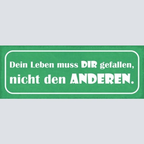 Schild dein leben muss dir gefallen nicht den anderen 27x10 blech od.holz