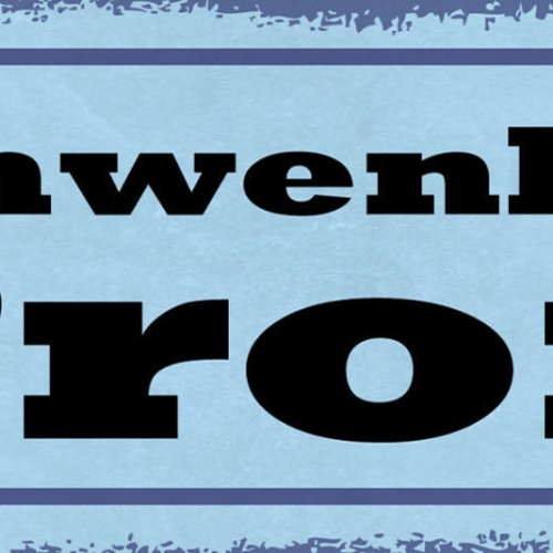 Schild Schwenker Profi Schwenken Grillen Grill Griller BBQ 27x10 Blech od.Holz