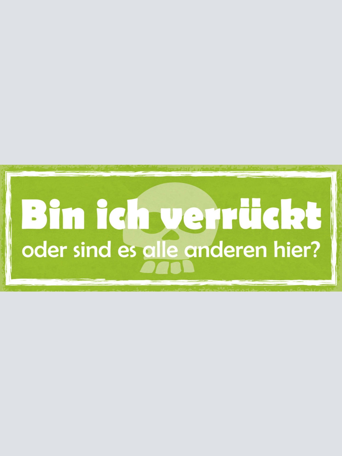Schild Bin Ich Verrückt Oder Sind Es Die Anderen Irre 27x10 Blech od.Holz
