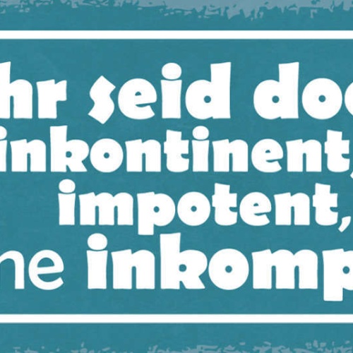 Schild Ihr Seid Doch Alle Inkontinent Impotent Inkompetent 27x10 Blech od.Holz