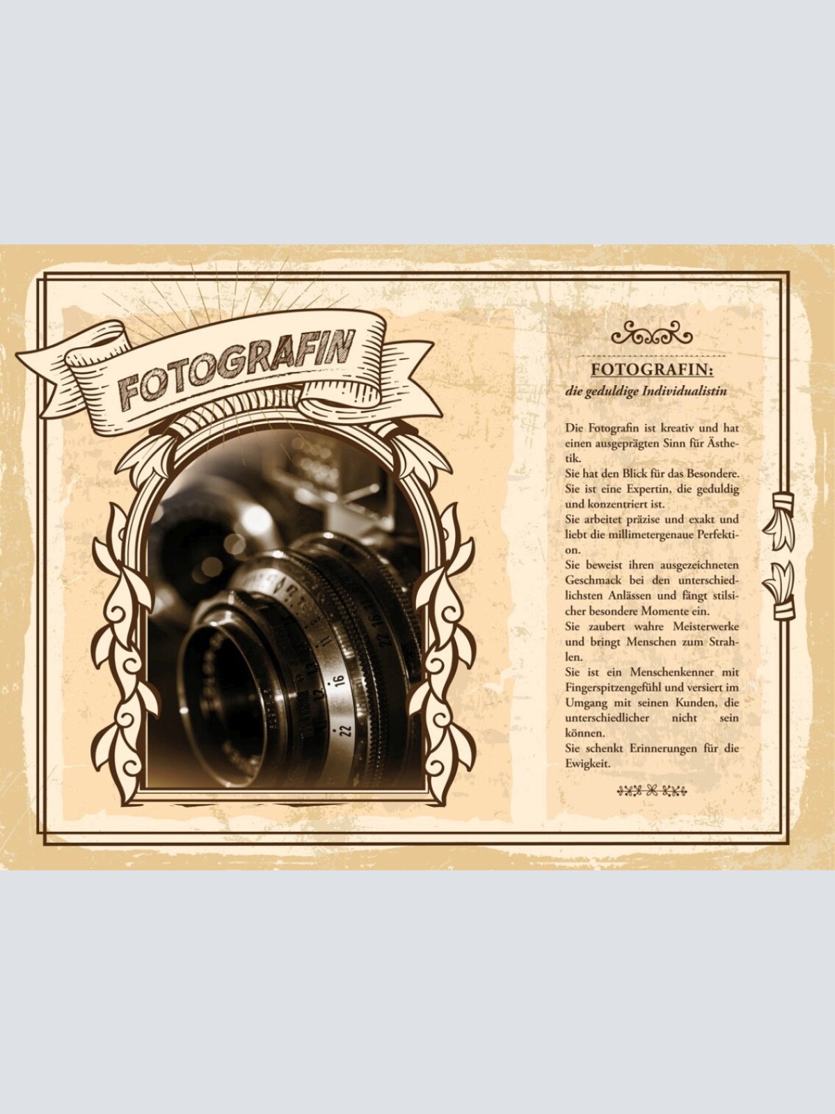 Schild Fotografin Beruf Fotografie Fotos Kamera 12x18 20x30 30x40 Blech/Holz