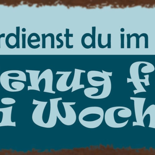 Schild Was Verdienst Du Im Monat? Genug Für 2 Wochen Arbeit 27x10 Blech od.Holz