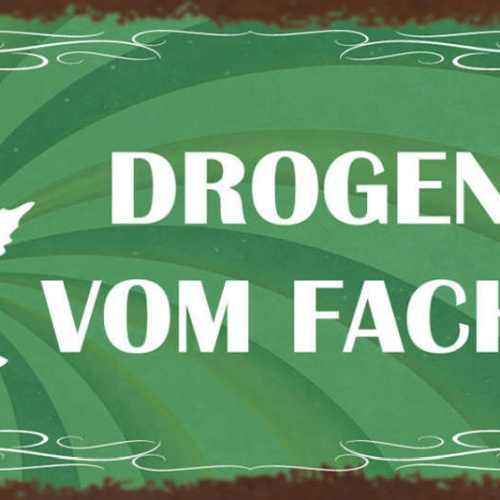 Schild Drogen Nur Vom Fachmann Hanf Cannabis Rauchen Weed 27x10 Blech od.Holz