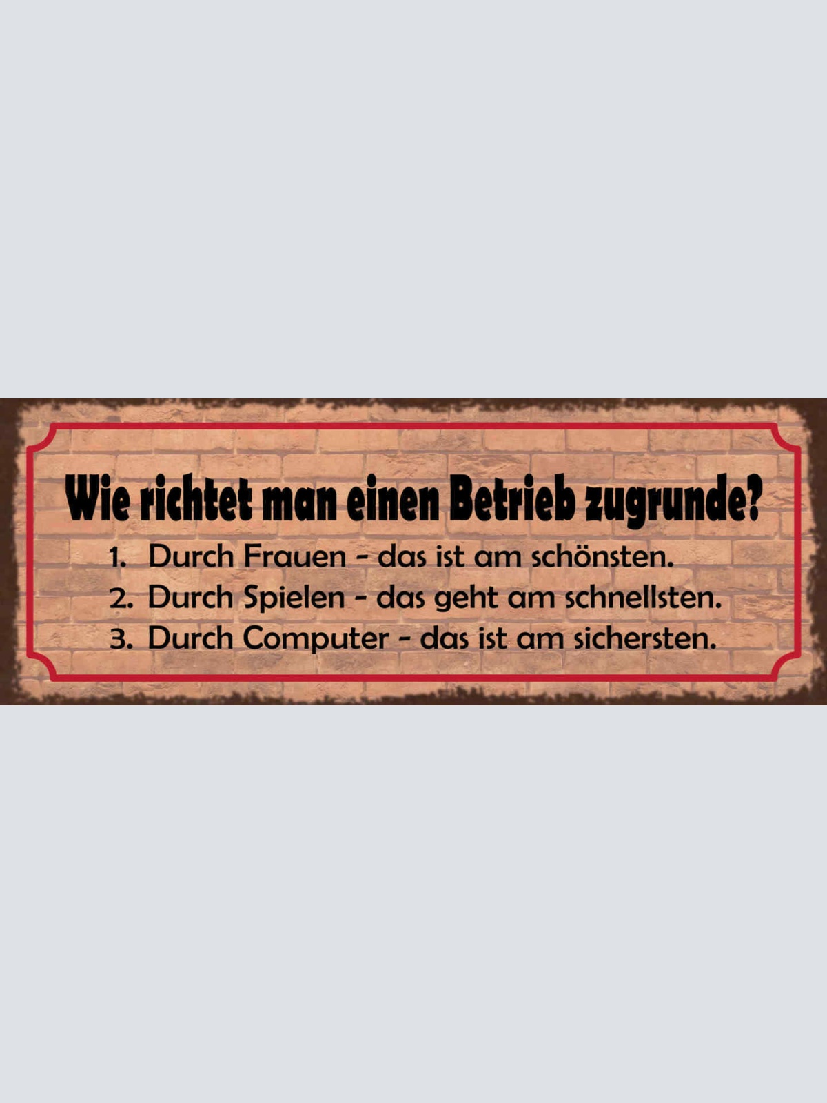 Schild Wie Richtet Man Einen Betrieb Zugrunde Frauen Spielen Computer 27x10