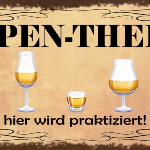 Schild Gruppen Therapie Hier Wird Praktiziert Bier Alkohol 27x10 Blech od.Holz