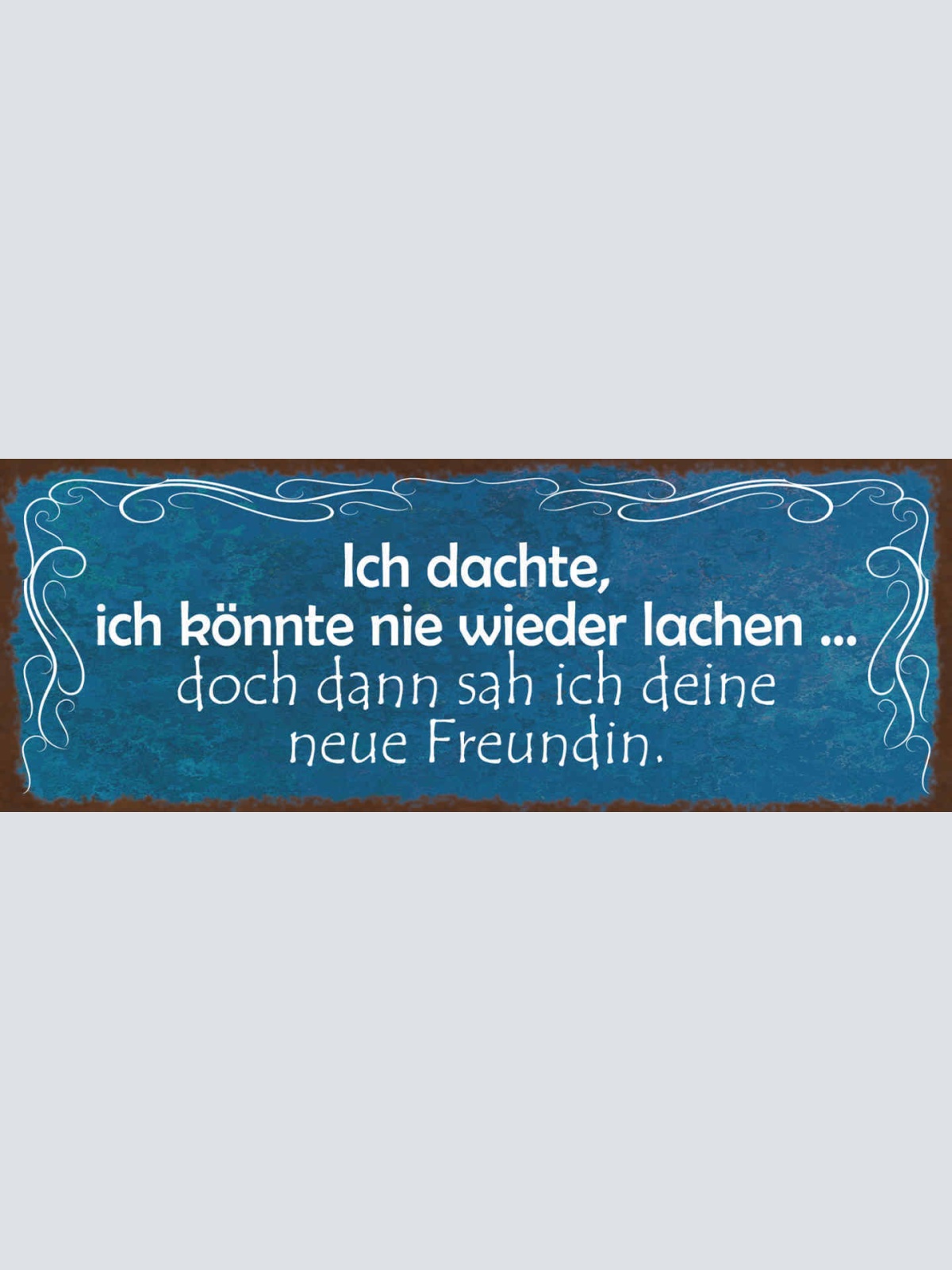 Schild Ich Dachte Ich Könnte Nie Wieder Lachen Dann Sah Ich Deine Neue Freundin