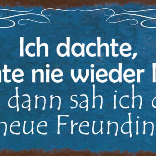 Schild Ich Dachte Ich Könnte Nie Wieder Lachen Dann Sah Ich Deine Neue Freundin