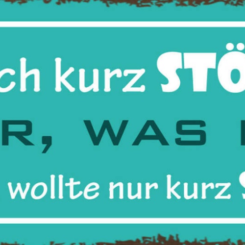 Schild Kann Ich Kurz Stören? Klar Was Ist? Nichts Wollte Nur Kurz Stören 27x10