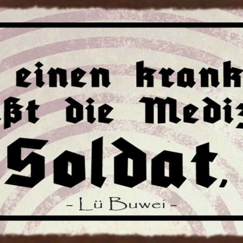 Schild Nur Für Einen Kranken Staat Heißt Die Medizin Soldat 27x10 Blech od.Holz