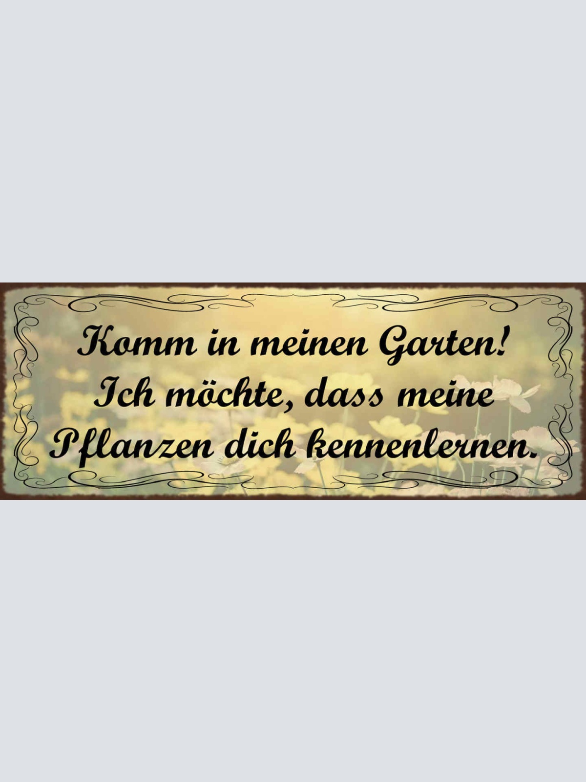 Schild Komme In Meinen Garten Ich Möchte Dass Meine Pflanzen Dich Kennenlernen
