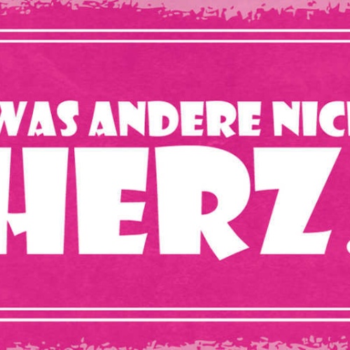 Schild Du Hast Was Andere Nicht Haben Mein Herz Liebe Ehe 27x10 Blech od.Holz