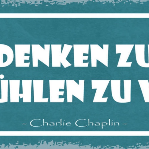 Schild Wir Denken Zu Viel & Fühlen Zu Wenig Charlie Chaplin 27x10 Blech od.Holz