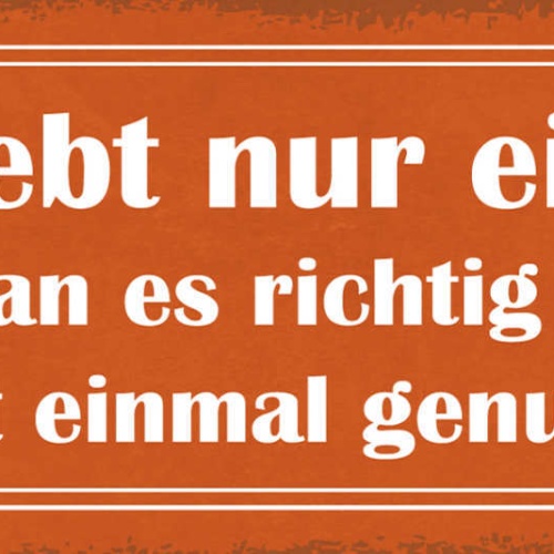 Schild Man Lebt Nur Einmal Wenn Man Es Richtig Anstellt Ist Einmal Genug 27x10