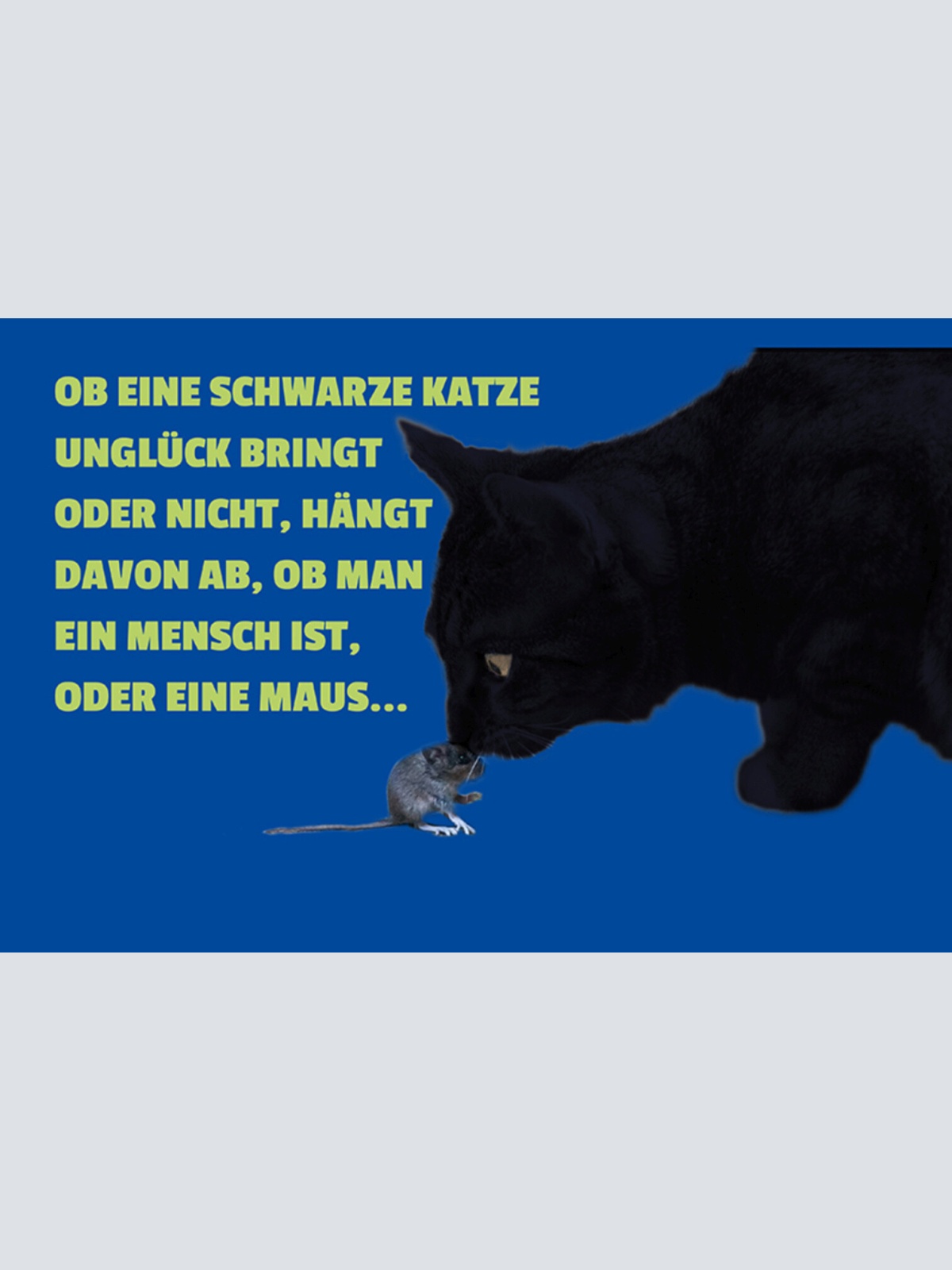 Schild Spruch Ob eine schwarze Katze Unglück bring oder nicht Mensch Maus JW