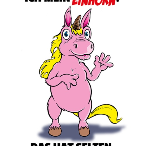 Schild Spruch Wenn ich nicht mehr weiter weiß frage ich mein Einhorn Süß JW