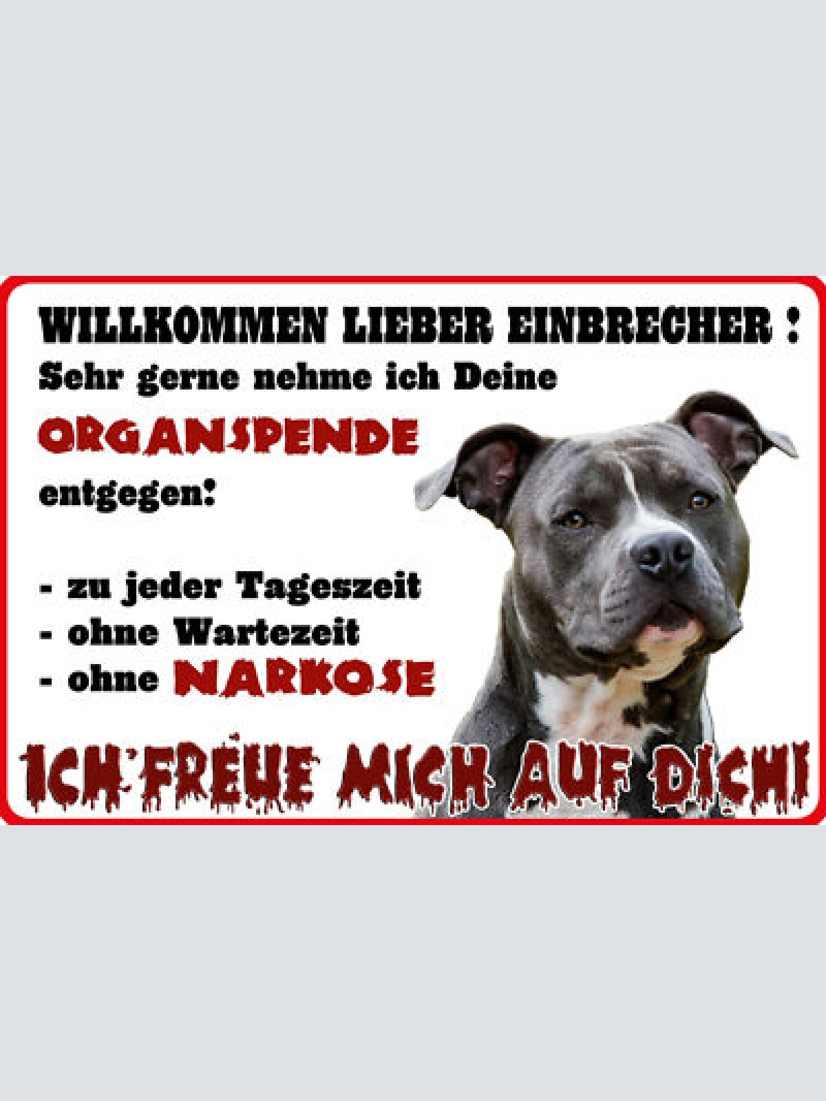 Schild Spruch Willkommen lieber Einbrecher Sehr gerne nehme ich Warnung Hund JW
