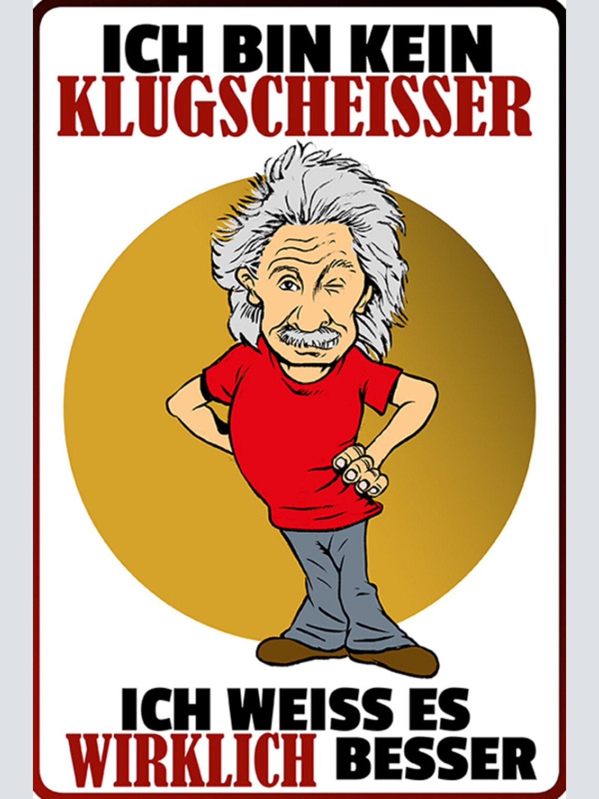 Schild Spruch Ich bin kein Klugscheißer Ich weiße es wirklich besser Einstein JW