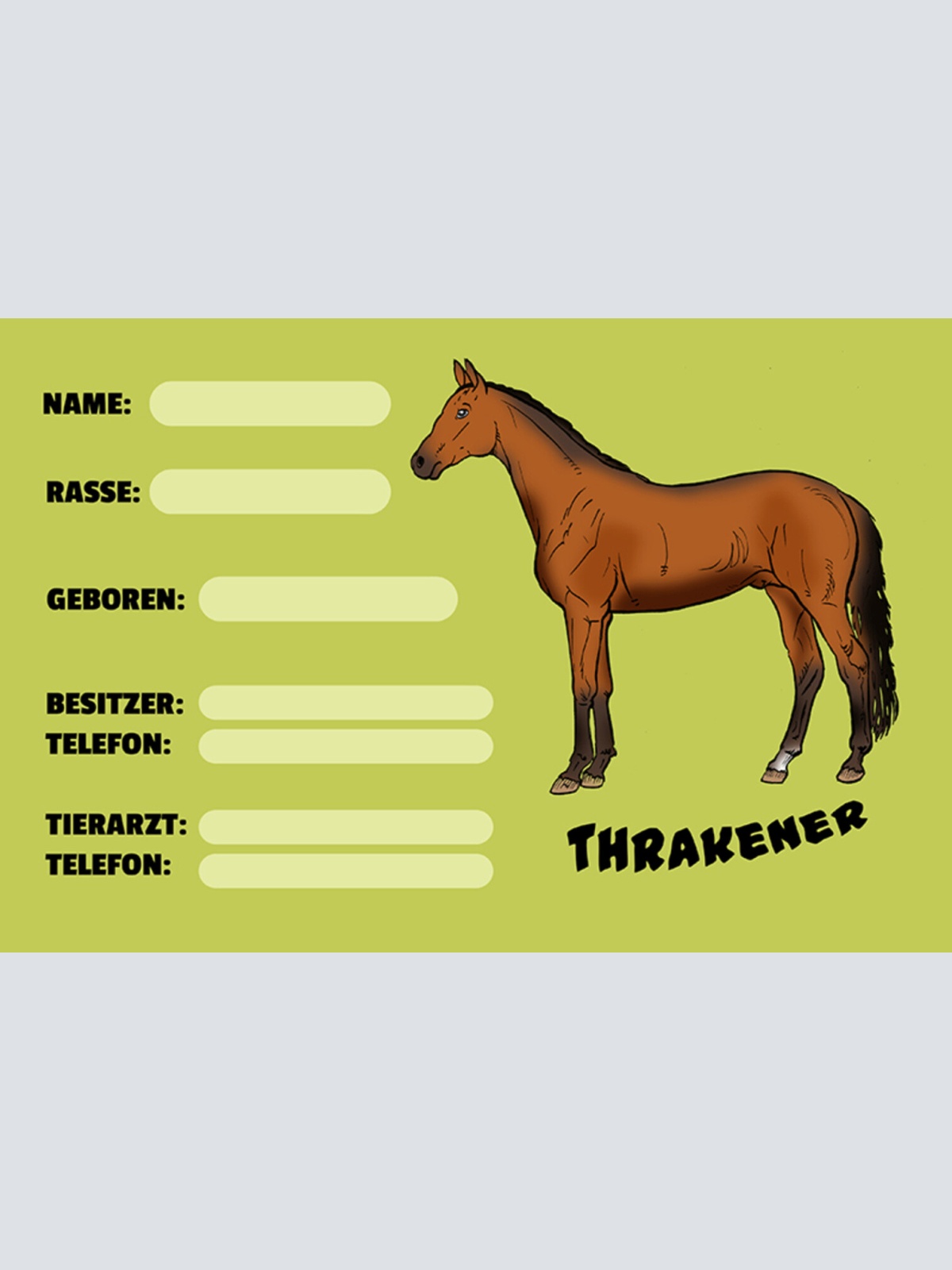 Schild Spruch Thrakener Pferd Steckbrief JW