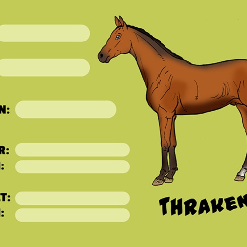 Schild Spruch Thrakener Pferd Steckbrief JW