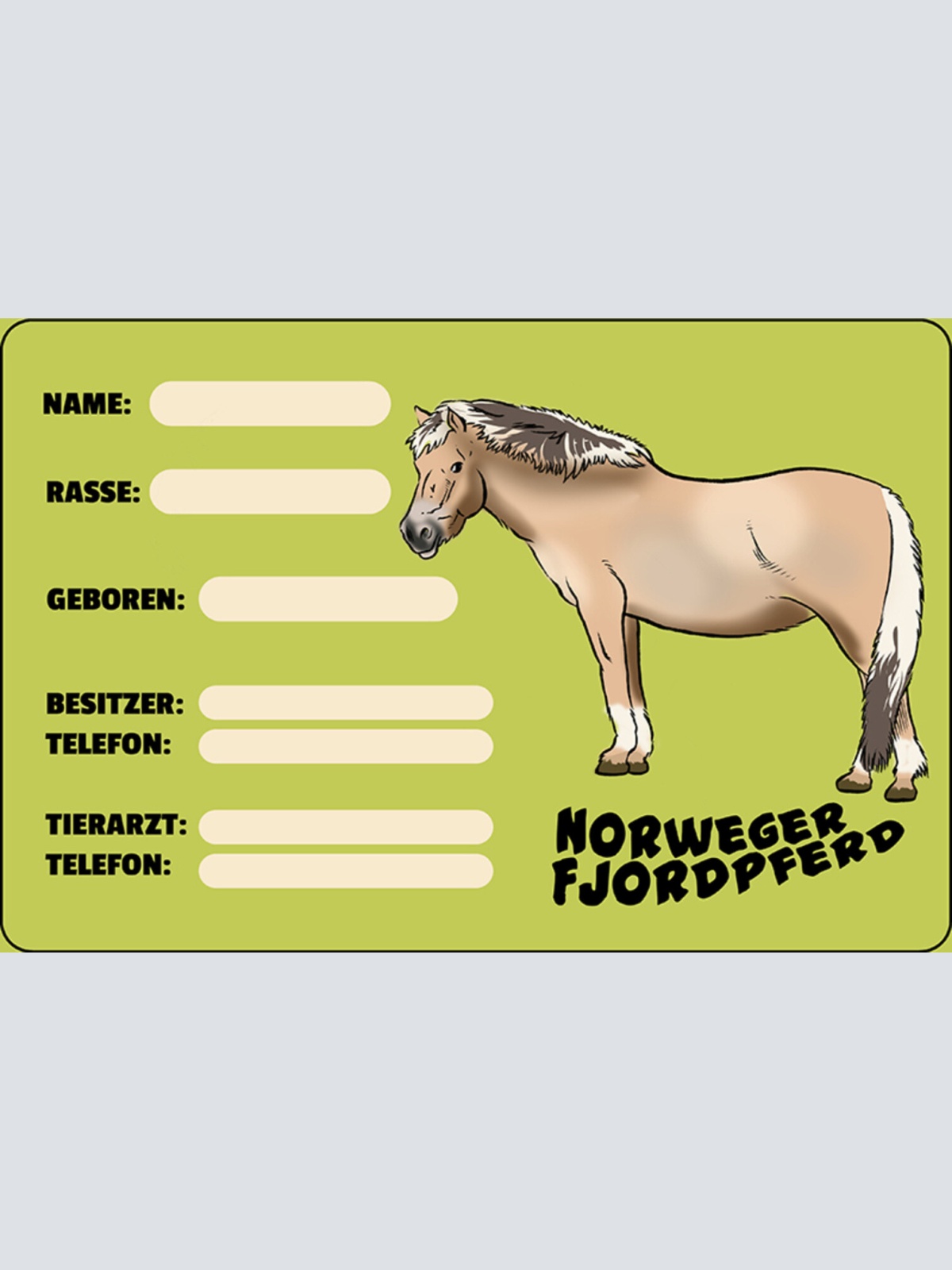 Schild Spruch Norweger Fjordpferd Steckbrief JW