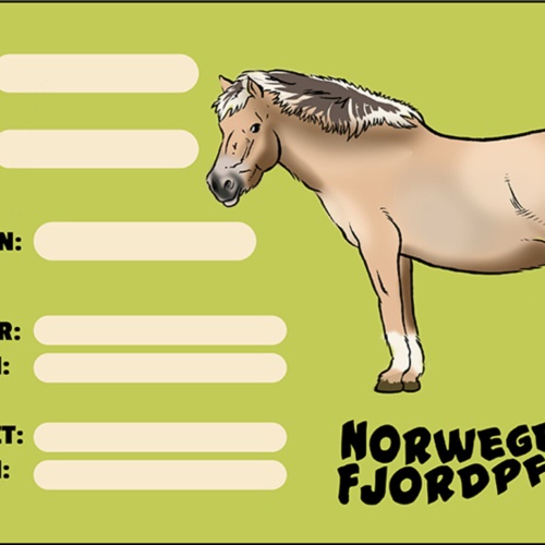 Schild Spruch Norweger Fjordpferd Steckbrief JW