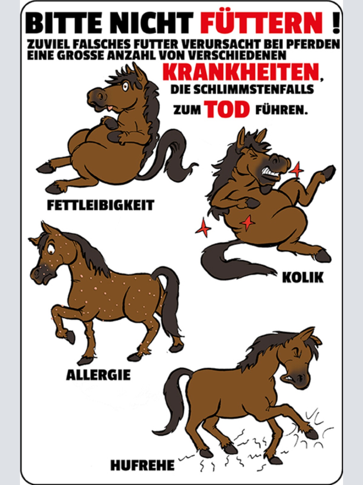 Schild Spruch Pferd bitte nicht füttern Krankheiten zum Tode führen JW