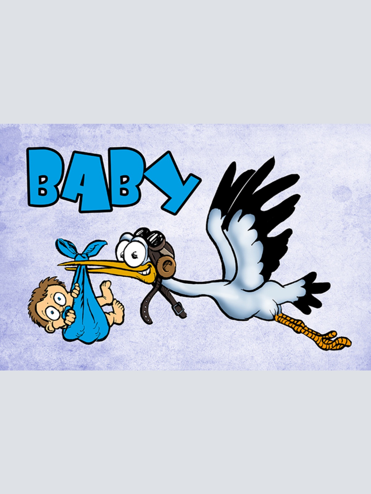 Schild Spruch Baby Junge Blau Storch JW