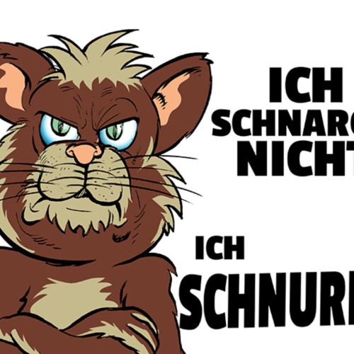 Schild Spruch Ich schnarche nicht Ich schnurre Katze JW