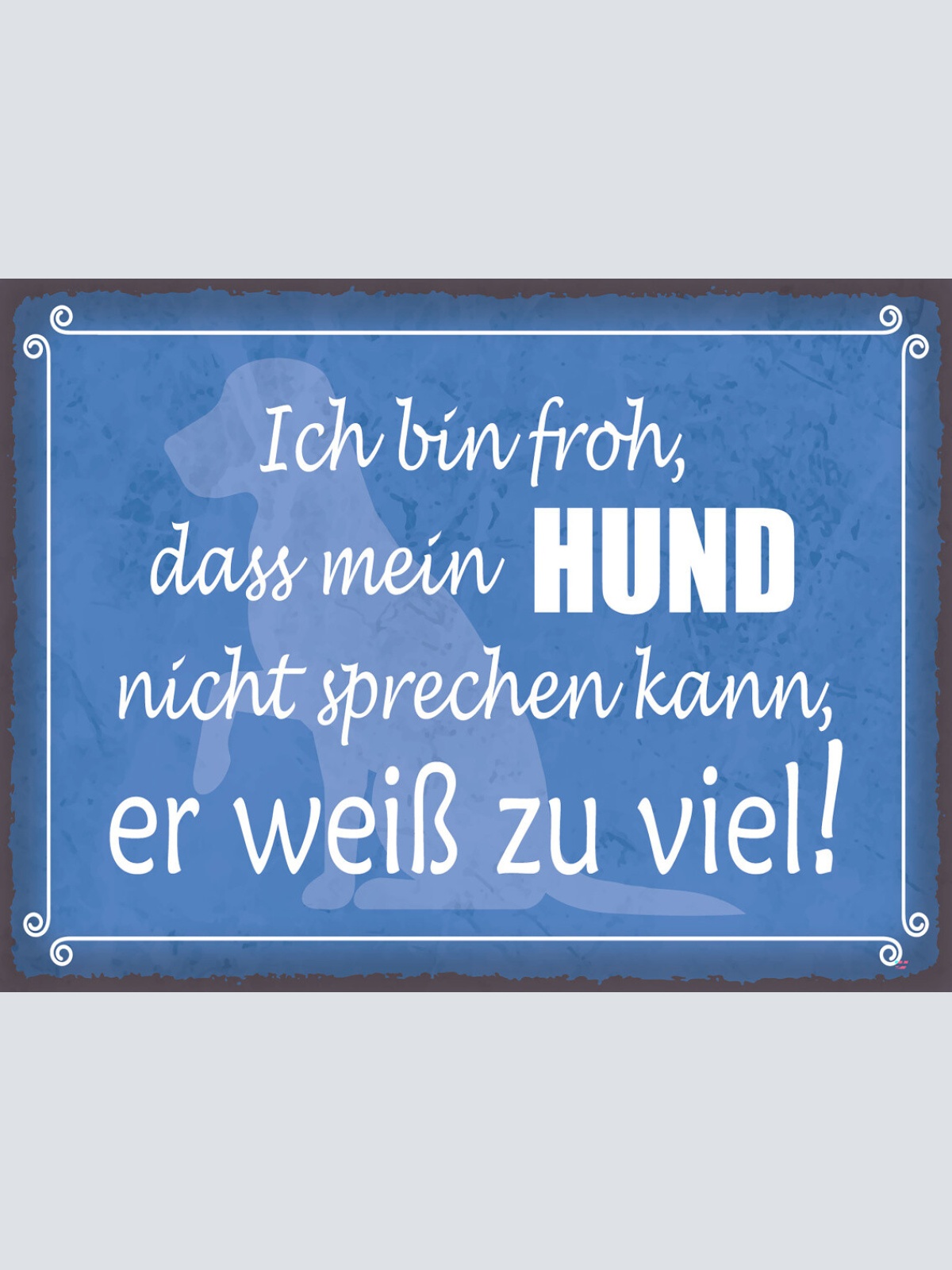 Schild Ich Bin Froh Mein Hund Nicht Sprechen Kann 12x18 20x30 30x40 Blech/Holz