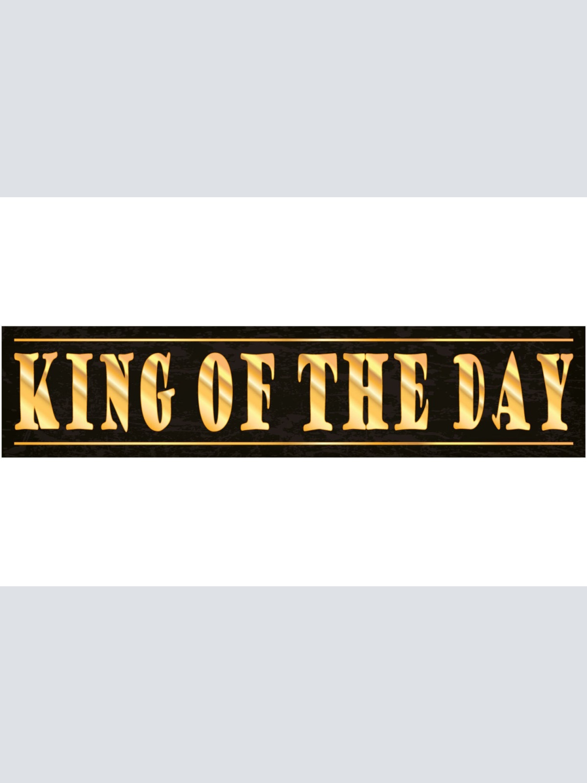 Schild King of the Day König Tag Glück Erfolg Gute Laune 46 x 10 Blech od. Holz