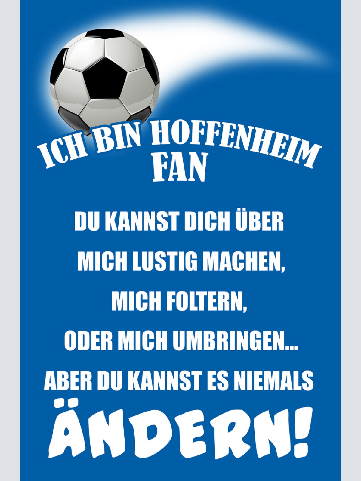 Schild Spruch Ich bin Hoffenheim-Fan Kannst es niemals ändern Fußball JW