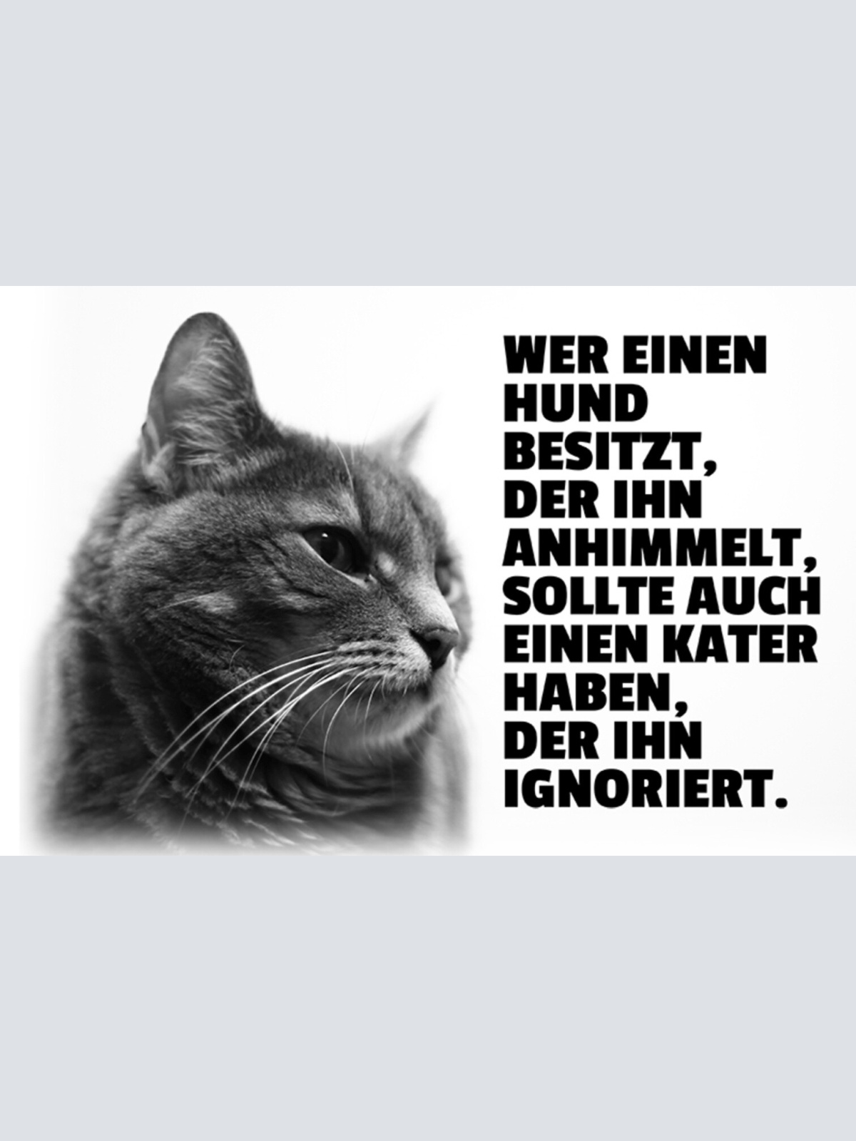 Schild Spruch Wer einen Hund besitzt der ihn anhimmelt sollte auch Kater JW