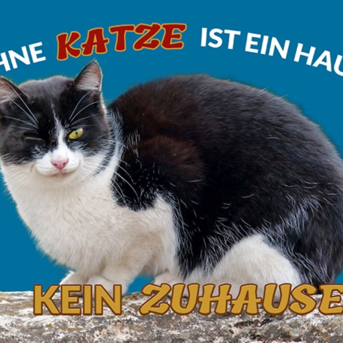 Schild Spruch Ohne Katze ist ein Haus kein Zuhause JW