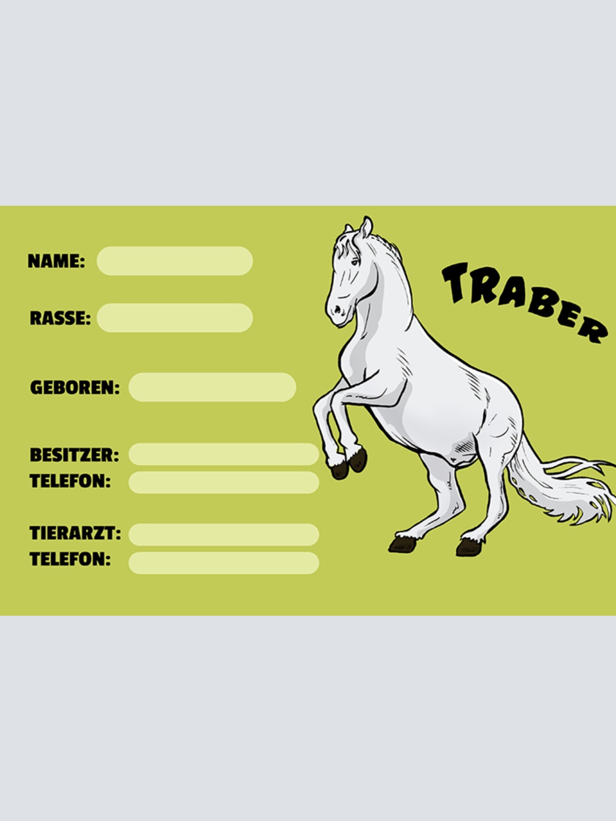 Schild Spruch Traber Pferd Steckbrief JW