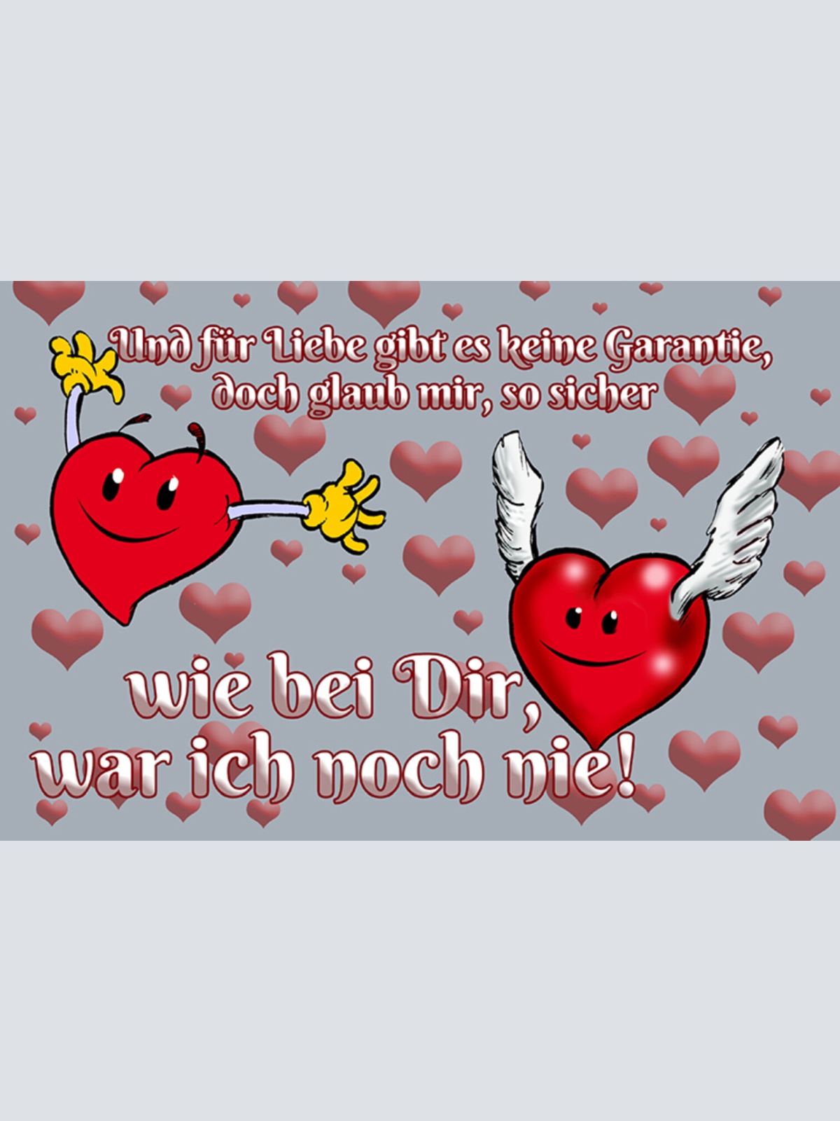 Schild Spruch Für die Liebe gibt es keine Garantie so sicher war ich nie JW