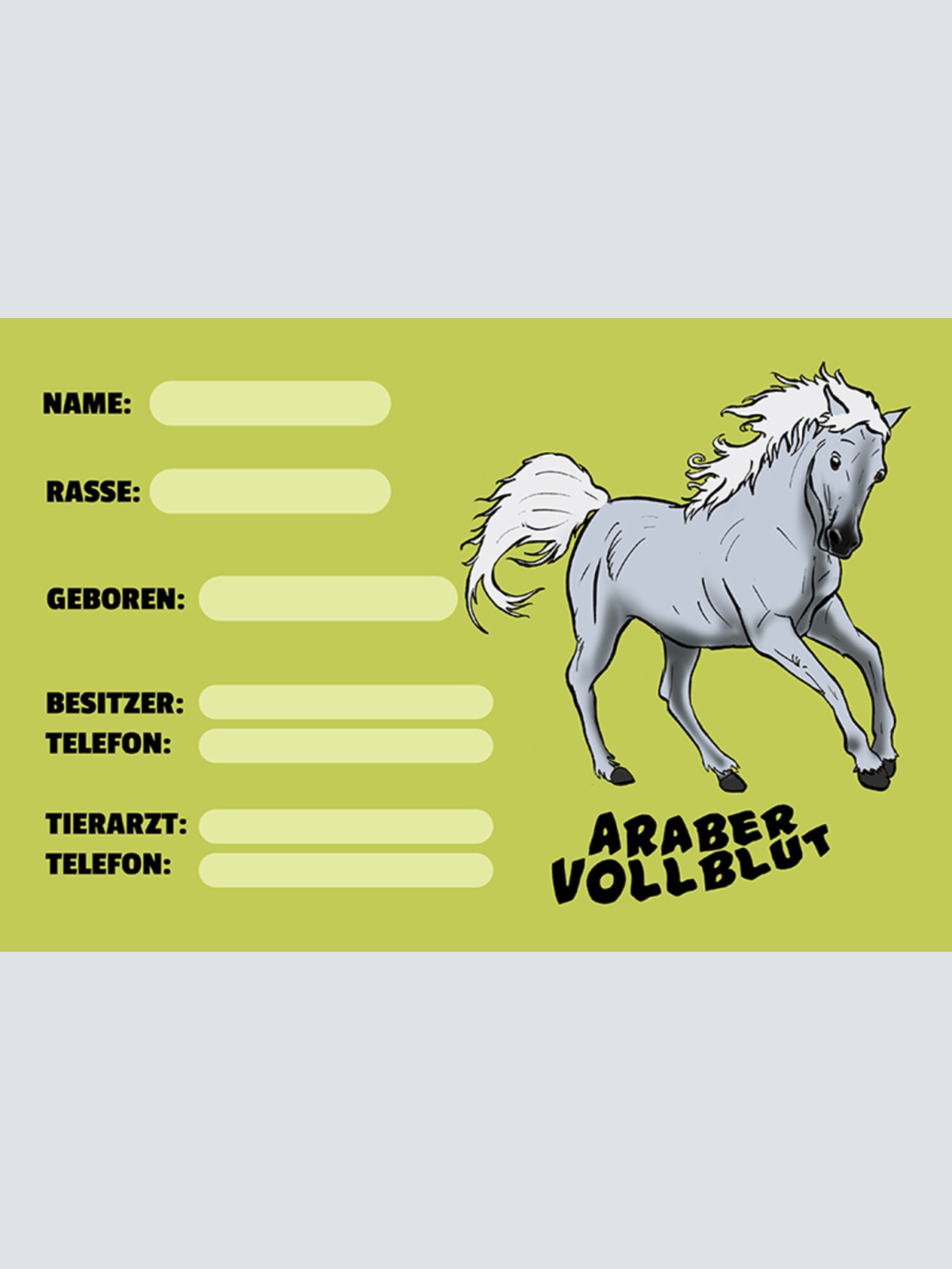 Schild Spruch Araber Vollblut Pferd Steckbrief  JW