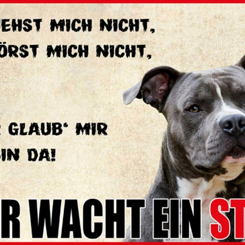 Schild Spruch Du siehst mich nicht Hier wacht ein Staff Hund Warnung JW