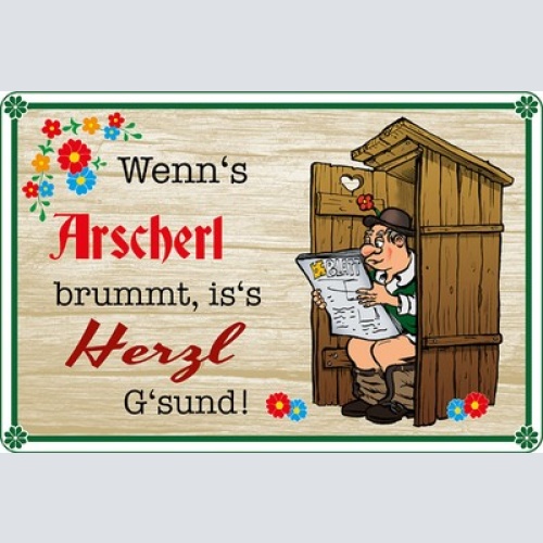 Schild Spruch Wenns Arscherl brummt is's Herzerl gsund Toilette Klo JW