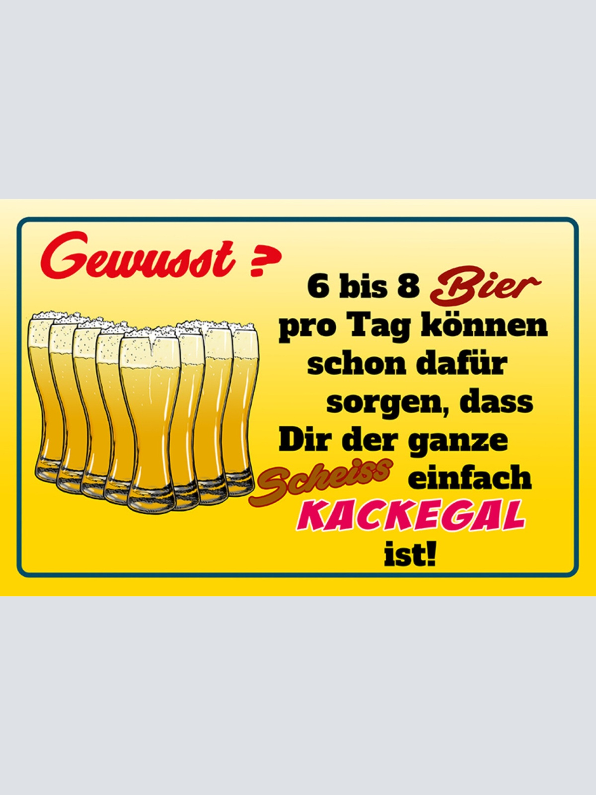 Schild Spruch Gewußt 6 bis 6 Bier können dafür sorgen ganze Scheiß kackegal JW