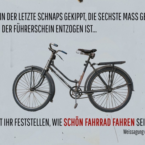 Schild Spruch Wenn Führerschein entzogen wie schön Fahrrad fahren ist Alkohol JW