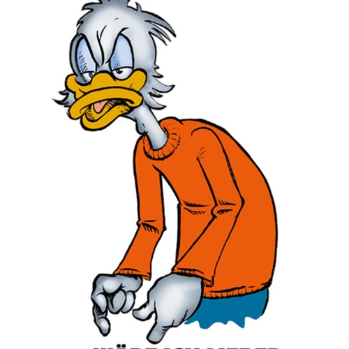 Schild Spruch Wenn ich du wäre wäre ich lieber ich Ente JW