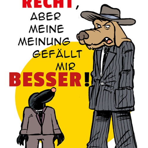 Schild Spruch Ich weiß du hast recht aber meine Meinung gefällt mir besser JW