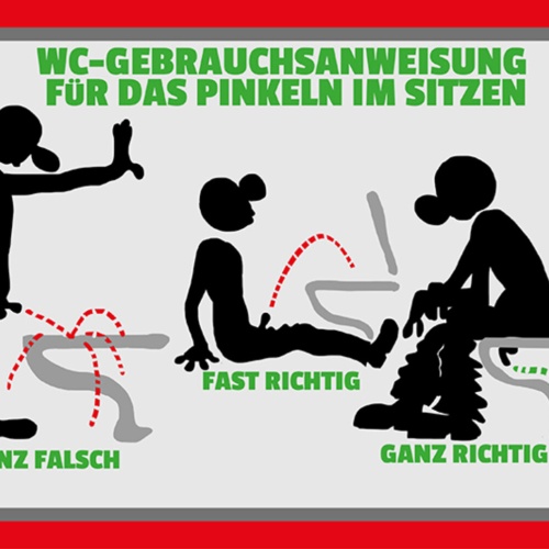Schild Spruch WC-Gebrauchsanweisung für das Pinkeln im Sitzen Ganz falsch JW