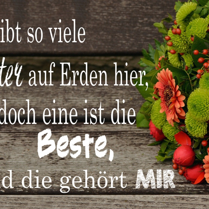 Schild Spruch Viele Mütter auf Erden mit gehört beste Mama Mutti JW